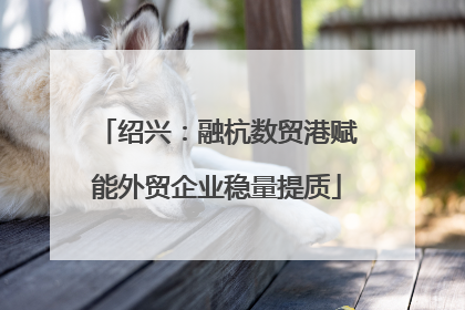 绍兴：融杭数贸港赋能外贸企业稳量提质