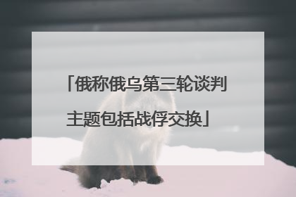 俄称俄乌第三轮谈判主题包括战俘交换