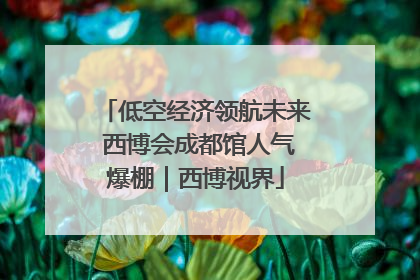 低空经济领航未来 西博会成都馆人气爆棚｜西博视界