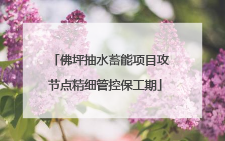 佛坪抽水蓄能项目攻节点精细管控保工期
