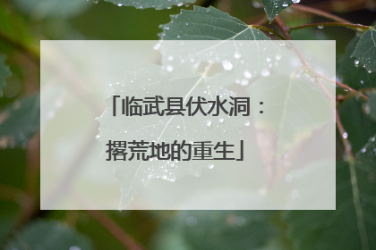 临武县伏水洞：撂荒地的重生