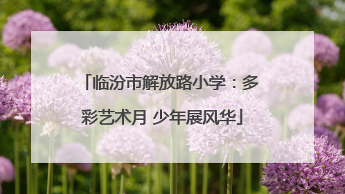 临汾市解放路小学：多彩艺术月 少年展风华