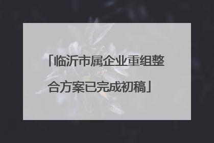 临沂市属企业重组整合方案已完成初稿