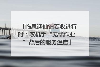 临泉迎仙镇麦收进行时：农机手“无忧作业”背后的服务温度