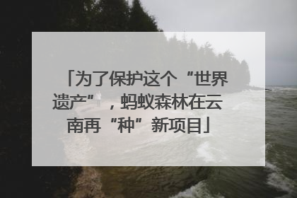 为了保护这个“世界遗产”，蚂蚁森林在云南再“种”新项目