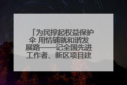 为民撑起权益保护伞 用情铺就和谐发展路——记全国先进工作者、新区项目建设中心干部卢小勇