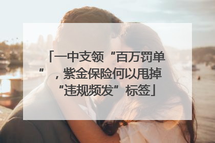一中支领“百万罚单”，紫金保险何以甩掉“违规频发”标签