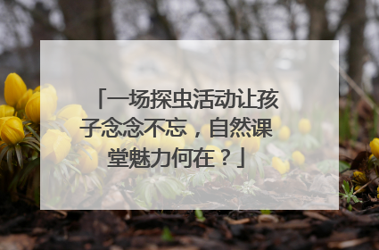 一场探虫活动让孩子念念不忘，自然课堂魅力何在？
