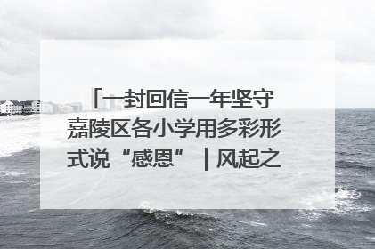 一封回信一年坚守 嘉陵区各小学用多彩形式说“感恩”｜风起之江 扶摇直上