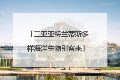 三亚亚特兰蒂斯多样海洋生物引客来