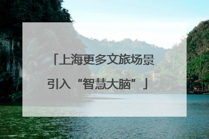 上海更多文旅场景引入“智慧大脑”