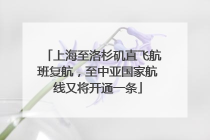 上海至洛杉矶直飞航班复航，至中亚国家航线又将开通一条