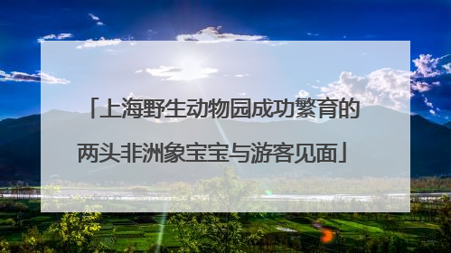 上海野生动物园成功繁育的两头非洲象宝宝与游客见面