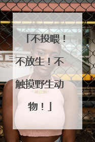 不投喂！不放生！不触摸野生动物！
