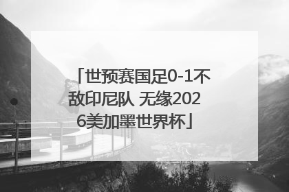 世预赛国足0-1不敌印尼队 无缘2026美加墨世界杯
