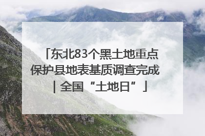 东北83个黑土地重点保护县地表基质调查完成｜全国“土地日”