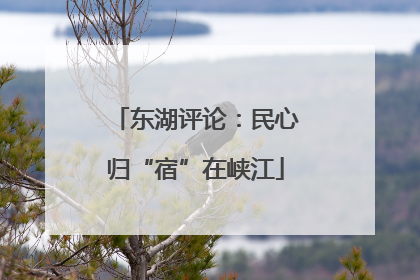 东湖评论：民心归“宿”在峡江