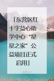 东营区红十字益心助学中心“星星之家”公益项目正式启用