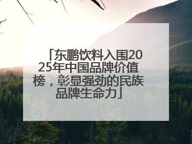 东鹏饮料入围2025年中国品牌价值榜，彰显强劲的民族品牌生命力