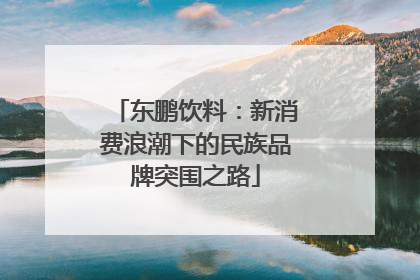 东鹏饮料：新消费浪潮下的民族品牌突围之路