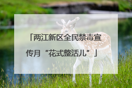 两江新区全民禁毒宣传月“花式整活儿”