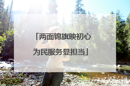 两面锦旗映初心 为民服务显担当