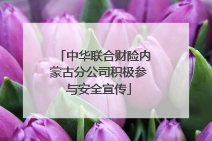 中华联合财险内蒙古分公司积极参与安全宣传