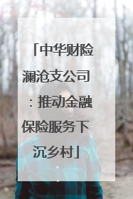 中华财险澜沧支公司：推动金融保险服务下沉乡村