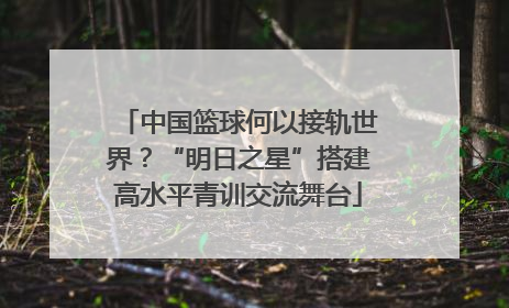 中国篮球何以接轨世界？“明日之星”搭建高水平青训交流舞台