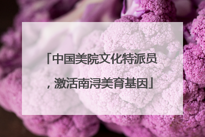 中国美院文化特派员，激活南浔美育基因