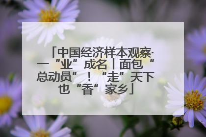 中国经济样本观察·一“业”成名丨面包“总动员”！“走”天下也“香”家乡