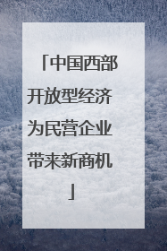 中国西部开放型经济为民营企业带来新商机