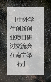 中外学生创新创业项目研讨交流会在南宁举行