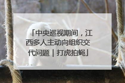 中央巡视期间，江西多人主动向组织交代问题｜打虎拍蝇
