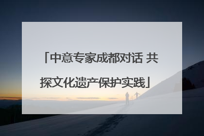 中意专家成都对话 共探文化遗产保护实践