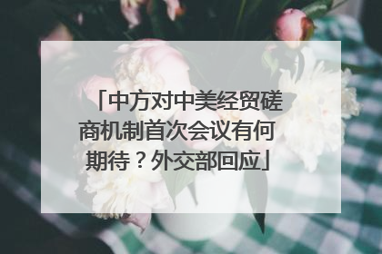 中方对中美经贸磋商机制首次会议有何期待？外交部回应