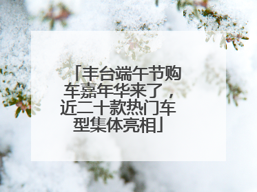 丰台端午节购车嘉年华来了，近二十款热门车型集体亮相