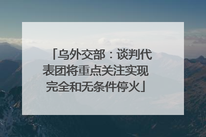 乌外交部：谈判代表团将重点关注实现完全和无条件停火