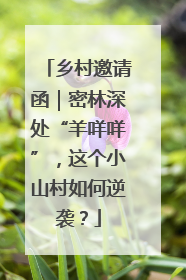 乡村邀请函｜密林深处“羊咩咩”，这个小山村如何逆袭？