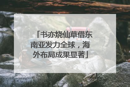 书亦烧仙草借东南亚发力全球，海外布局成果显著