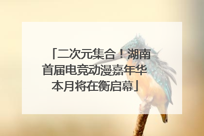 二次元集合！湖南首届电竞动漫嘉年华本月将在衡启幕
