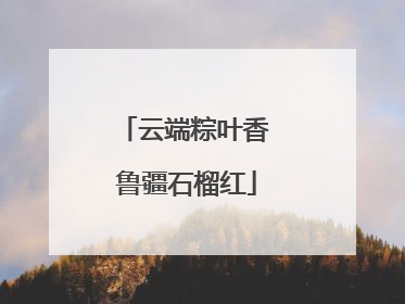 云端粽叶香 鲁疆石榴红