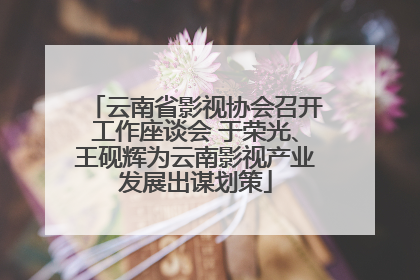 云南省影视协会召开工作座谈会 于荣光、王砚辉为云南影视产业发展出谋划策