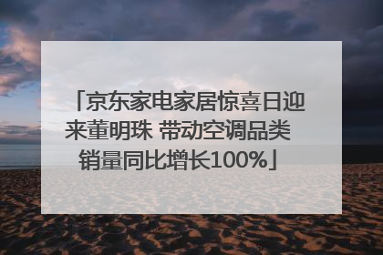 京东家电家居惊喜日迎来董明珠 带动空调品类销量同比增长100%