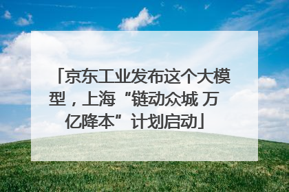 京东工业发布这个大模型，上海“链动众城 万亿降本”计划启动