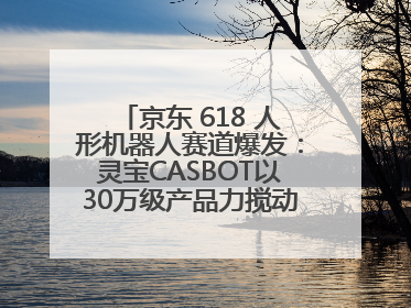 京东 618 人形机器人赛道爆发：灵宝CASBOT以30万级产品力搅动行业新变局