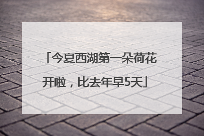 今夏西湖第一朵荷花开啦，比去年早5天