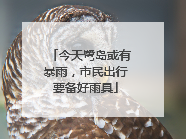 今天鹭岛或有暴雨，市民出行要备好雨具