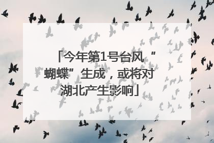 今年第1号台风“蝴蝶”生成，或将对湖北产生影响