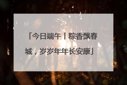 今日端午丨粽香飘春城，岁岁年年长安康